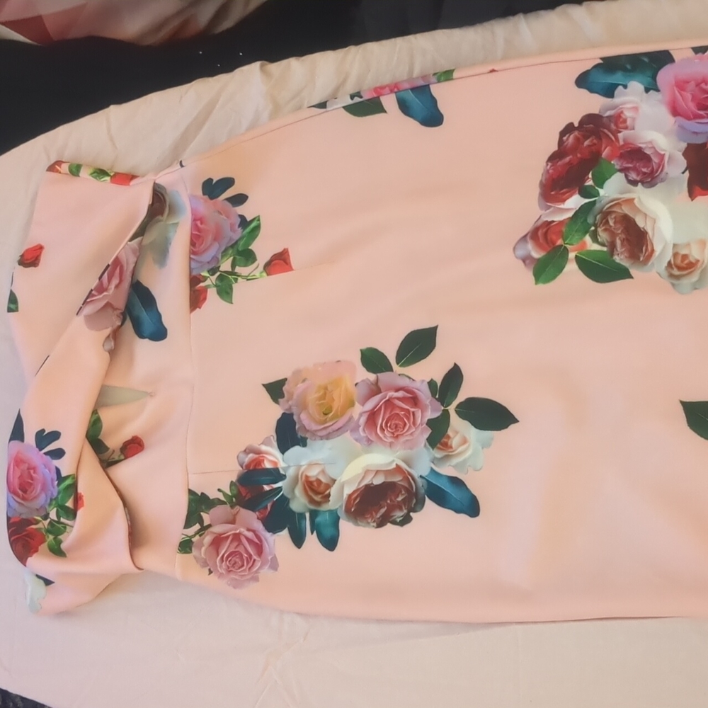 Asos pink dress w/gorgeous rose print. Size 10. Below the knee.